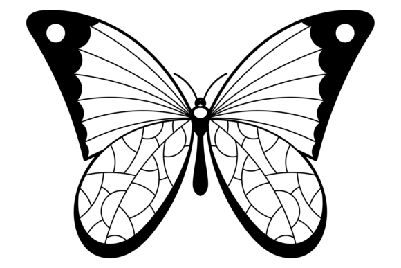 Black Butterfly Silhouette Graphics for Brand Illustrations