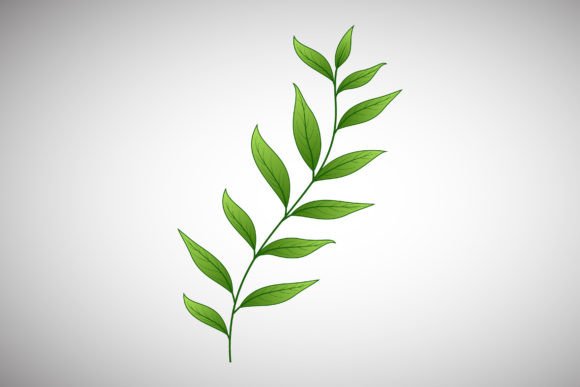 Botanical Graphics That Elevate Small Brand Illustrations