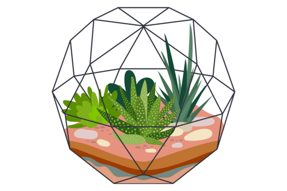 Botanical Indoor Terrarium Illustrations & Graphics