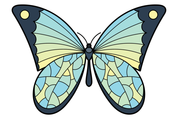 Butterfly with Patterned Wings: A Graphics Review