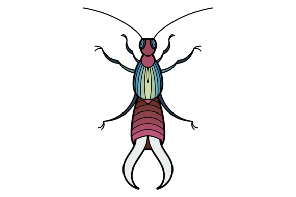Earwig Icon: Wild Pest Insect Graphics & Illustration