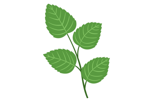Green Leaves on Stem: A Designer's Embroidery Review